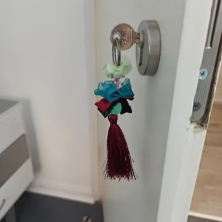 Tesla Space アパート ベオグラード